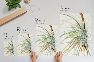 Umetniški tisk na platno Divji ananas (Tillandsia fasciculata) avtorice Mary Vaux Walcott iz leta 1921