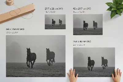 Plakat na platnu konji v teku, nežna megla, miren prostor