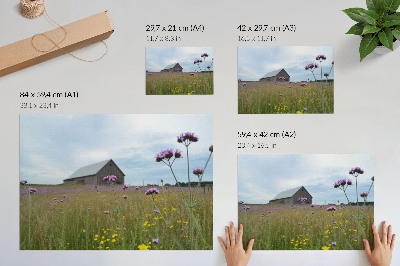 Plakat s teksturo platna Podeželski hlev z vijoličnimi in rumenimi cvetovi na travniku