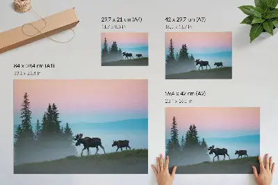 Plakat s teksturo platna los v jutranjem gozdu z meglo