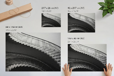 Plakat Črno-bela eleganca, moderne oblike