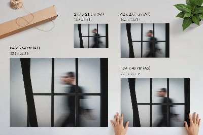 Plakat na platnu Črna silhueta za steklenim okvirjem, sivi minimalizem