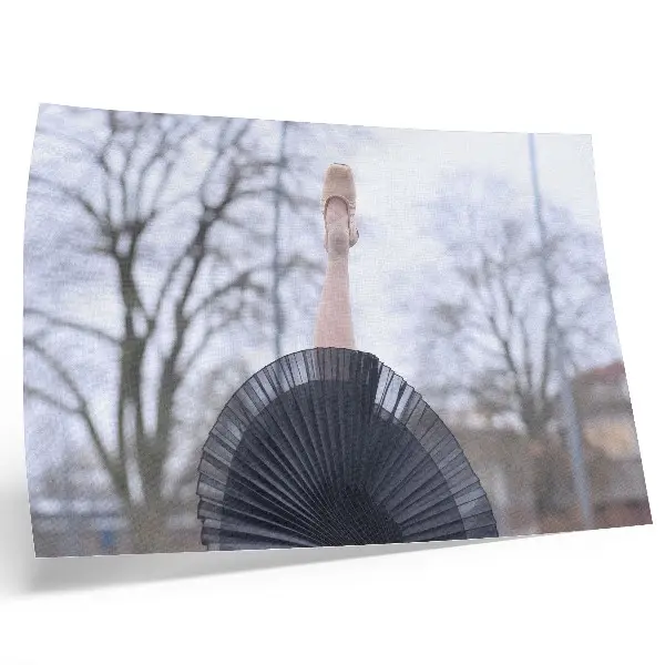 Plakat na platnu balet s pridihom subtilnosti in harmonije z lokalnim vzdušjem
