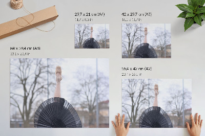 Plakat na platnu Balet, subtilnost, harmonija, lokalno vzdušje