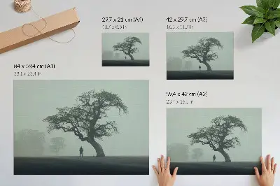 Plakat osamljeno drevo v megli s temno silhueto in mističnim vzdušjem