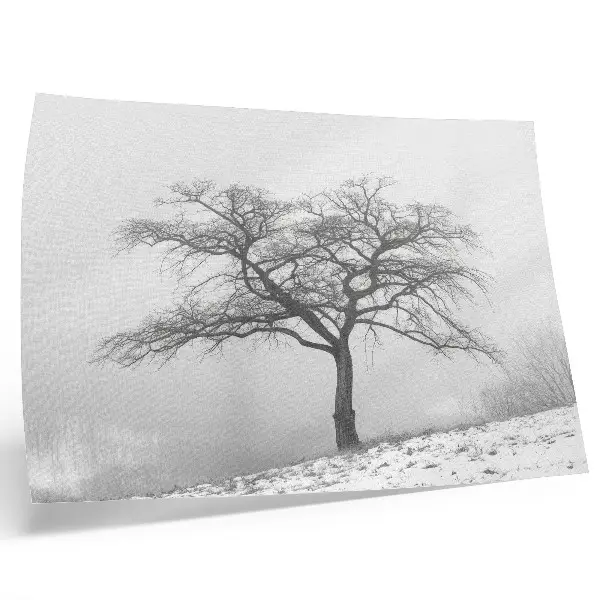 Plakat na platnu osamljeno drevo v zimskem miru z minimalistično harmonijo