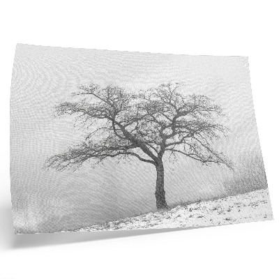Plakat na platnu Osamljeno drevo zimski mir minimalizem harmonija