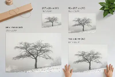 Plakat na platnu osamljeno drevo v zimskem miru z minimalistično harmonijo
