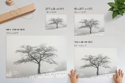 Plakat na platnu Osamljeno drevo zimski mir minimalizem harmonija