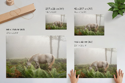 Plakat s teksturo platna Konj na ozadju praproti v meglenem gozdu