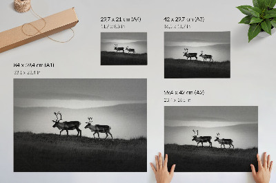 Plakat Minimalistična kompozicija Severni jelen na hribu