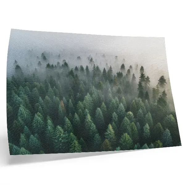 Plakat s teksturo platna zeleni gozd v megli z atmosferskim in skrivnostnim motivom
