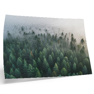 Plakat s teksturo platna Zeleni gozd v megli, atmosferski in skrivnosten