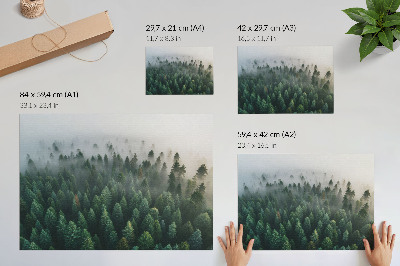 Plakat s teksturo platna Zeleni gozd v megli, atmosferski in skrivnosten