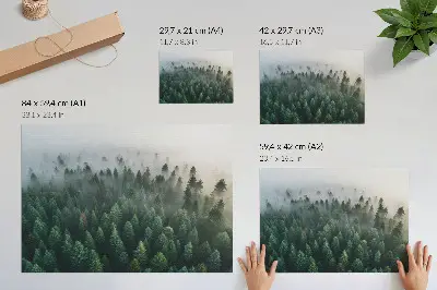 Plakat s teksturo platna zeleni gozd v megli z atmosferskim in skrivnostnim motivom
