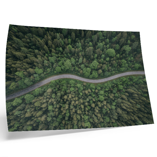 Plakat s teksturo platna Zelena gozdna serpentinska cesta, mirno vzdušje