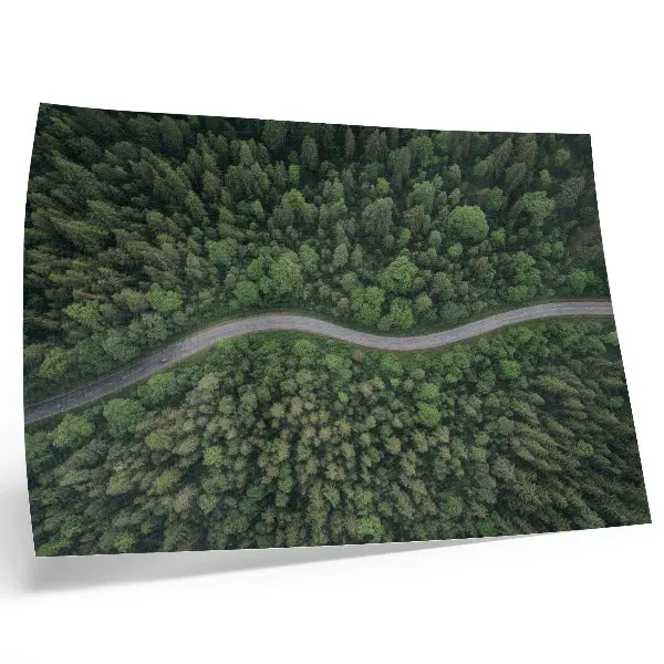 Plakat s teksturo platna zelena gozdna serpentinska cesta z mirnim vzdušjem