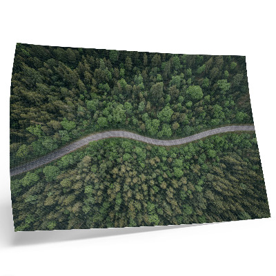 Plakat s teksturo platna Zelena gozdna serpentinska cesta, mirno vzdušje
