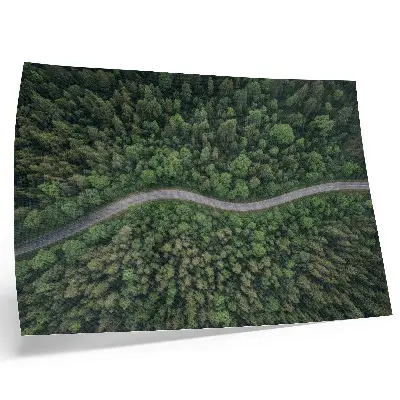 Plakat s teksturo platna zelena gozdna serpentinska cesta z mirnim vzdušjem