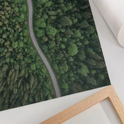 Plakat s teksturo platna zelena gozdna serpentinska cesta z mirnim vzdušjem