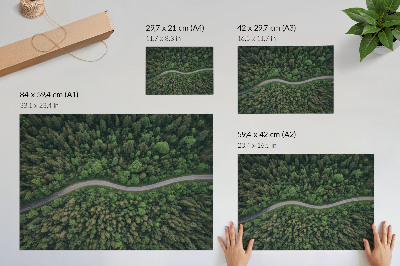 Plakat s teksturo platna Zelena gozdna serpentinska cesta, mirno vzdušje