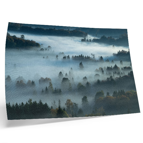 Plakat na platnu Zelena drevesa v megli, mirno vzdušje, umirjene barve