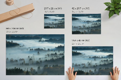 Plakat na platnu Zelena drevesa v megli, mirno vzdušje, umirjene barve