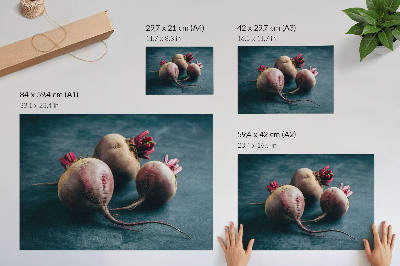 Plakat Tri pese minimalistična surova lepota narave