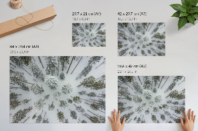 Plakat Zimski gozdni mir minimalizem naravnost