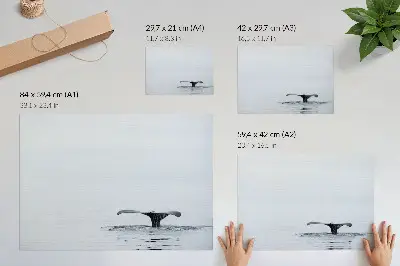Plakat s teksturo platna Kitov rep minimalističen motiv harmonije nad vodo
