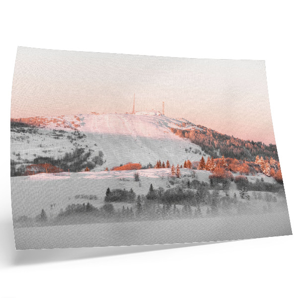 Plakat Zimska pokrajina v odtenkih roza in bele