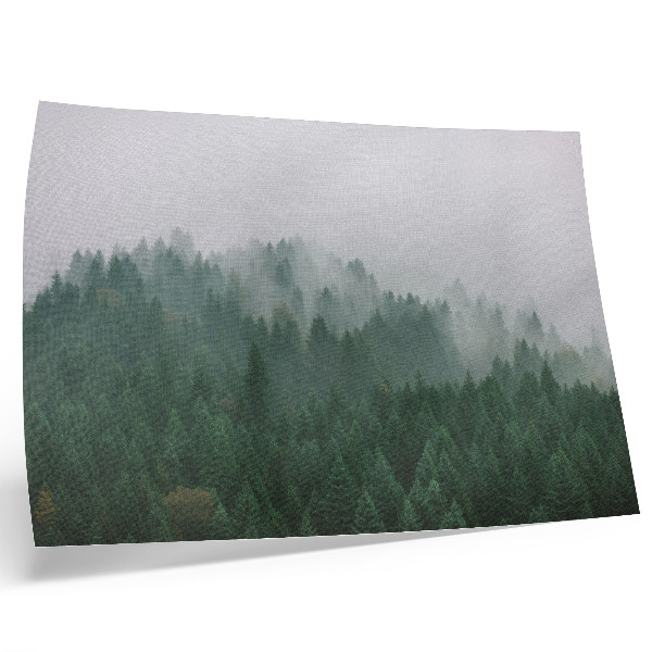 Plakat na platnu Meglena panorama gozda, polnega zelene in sive barve