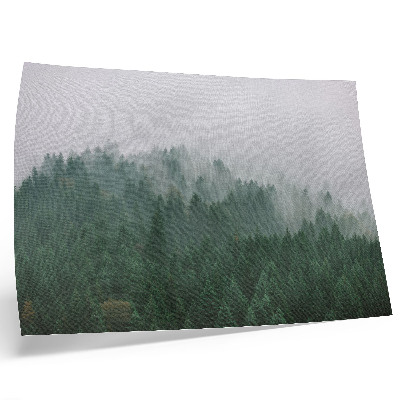 Plakat na platnu Meglena panorama gozda, polnega zelene in sive barve