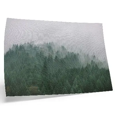Plakat na platnu meglena panorama gozda v zelenih in sivih odtenkih
