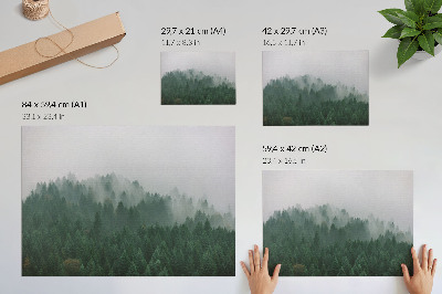 Plakat na platnu Meglena panorama gozda, polnega zelene in sive barve