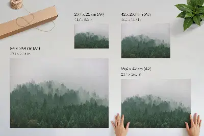 Plakat na platnu meglena panorama gozda v zelenih in sivih odtenkih