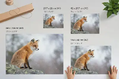 Plakat na platnu lisica v zimski pokrajini, ki predstavlja nežen mir narave
