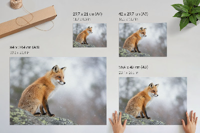 Plakat na platnu Lisica v zimski pokrajini, nežen mir narave