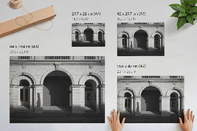 Plakat na platnu Elegantna arhitektura klasičnih lokov sence