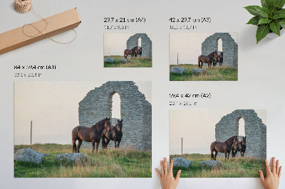 Plakat na platnu Kontrast ruševin in konj v zelenju