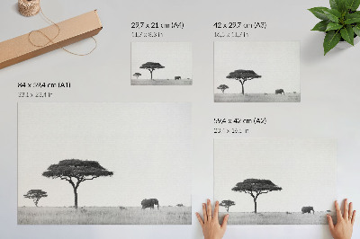 Plakat Slon in akacije na savani v subtilnem razponu