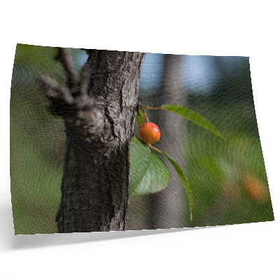 Plakat s teksturo platna Oranžno sadje zeleni listi rjavo lubje