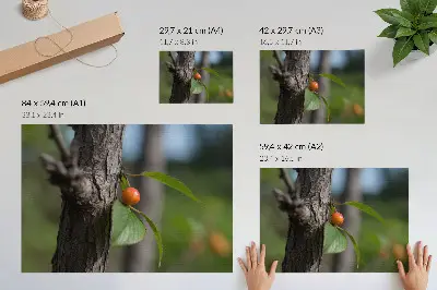 Plakat s teksturo platna oranžno sadje z zelenimi listi in rjavim lubjem
