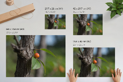 Plakat s teksturo platna Oranžno sadje zeleni listi rjavo lubje