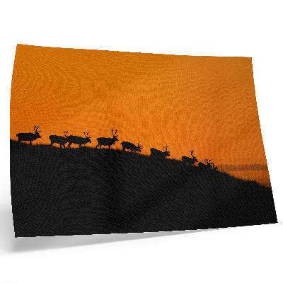 Plakat Silhuete jelenov na hribu z oranžnim ozadjem