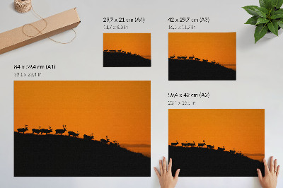 Plakat Silhuete jelenov na hribu z oranžnim ozadjem