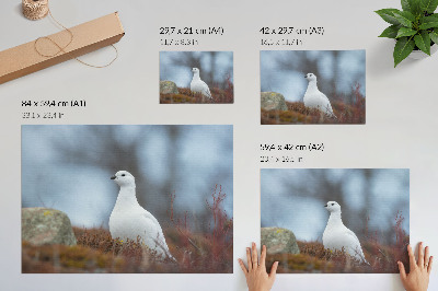 Plakat s teksturo platna Bela ptica v zimskem okolju