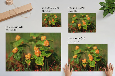Plakat na platnu Zeleni listi oranžnega sadja naravni čar