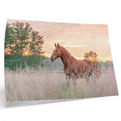 Plakat s teksturo platna Konj na travniku zjutraj, pastelne barve, sprostitev