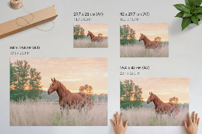 Plakat s teksturo platna Konj na travniku zjutraj, pastelne barve, sprostitev
